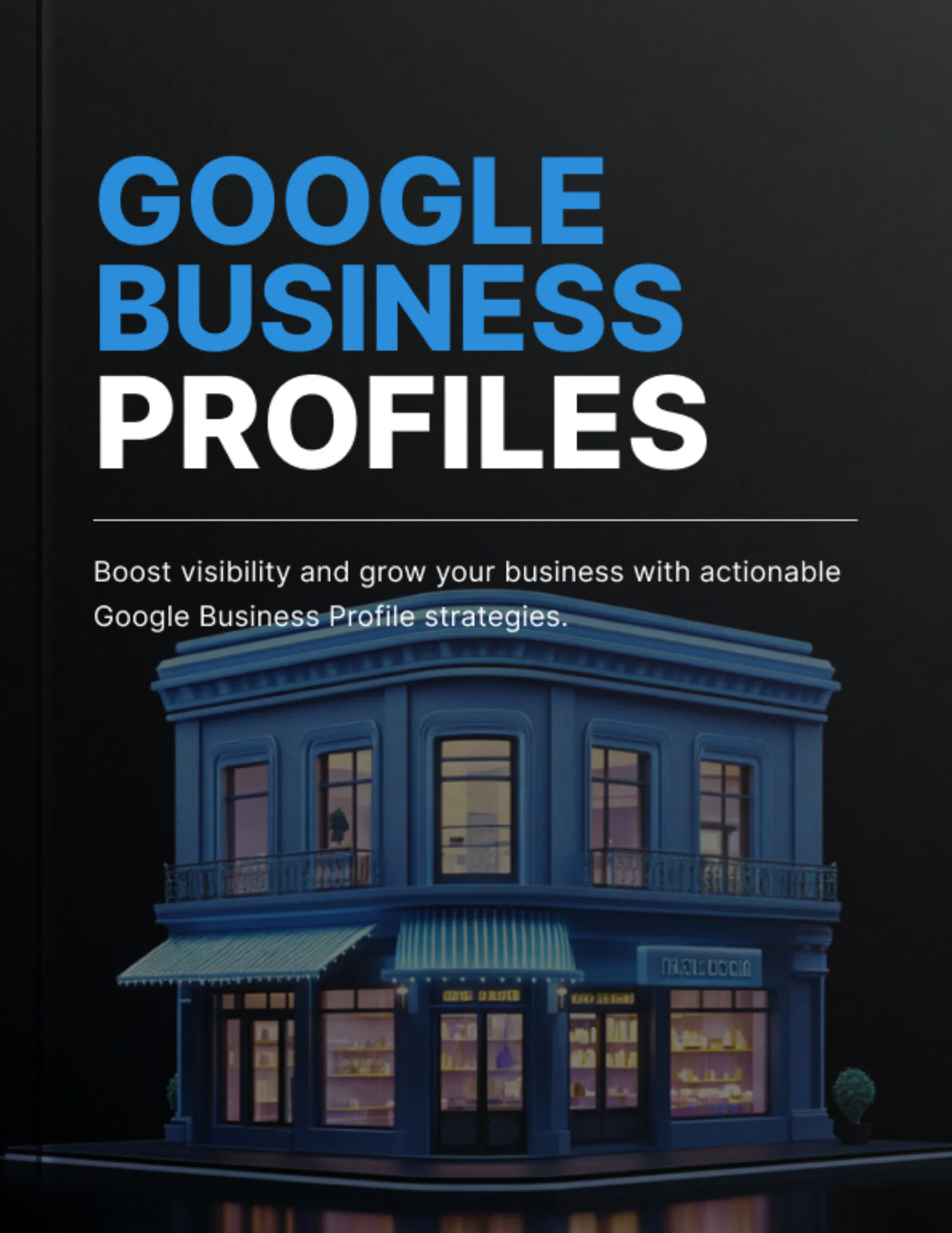 Google Business Profiles