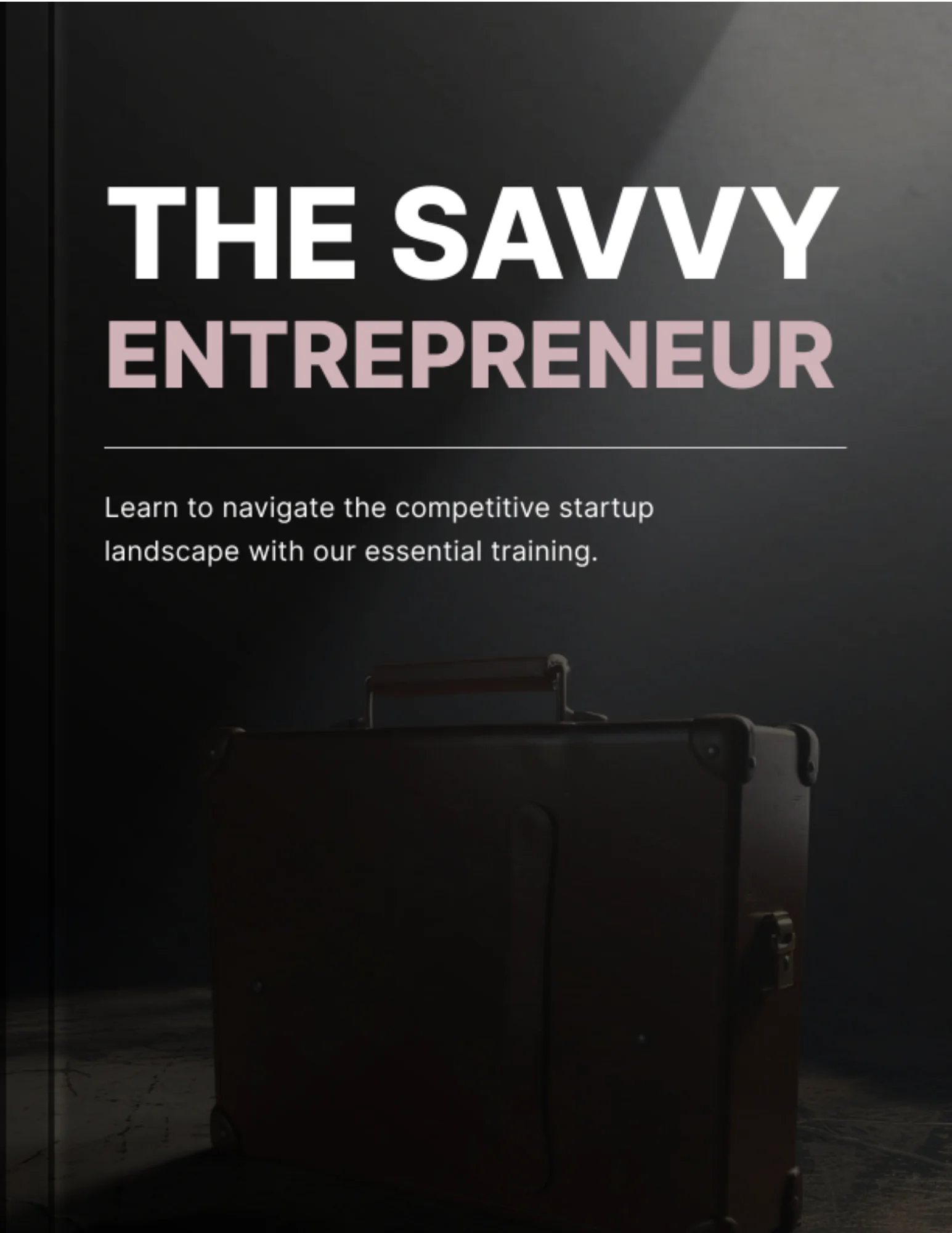The Savvy Entrepreneur