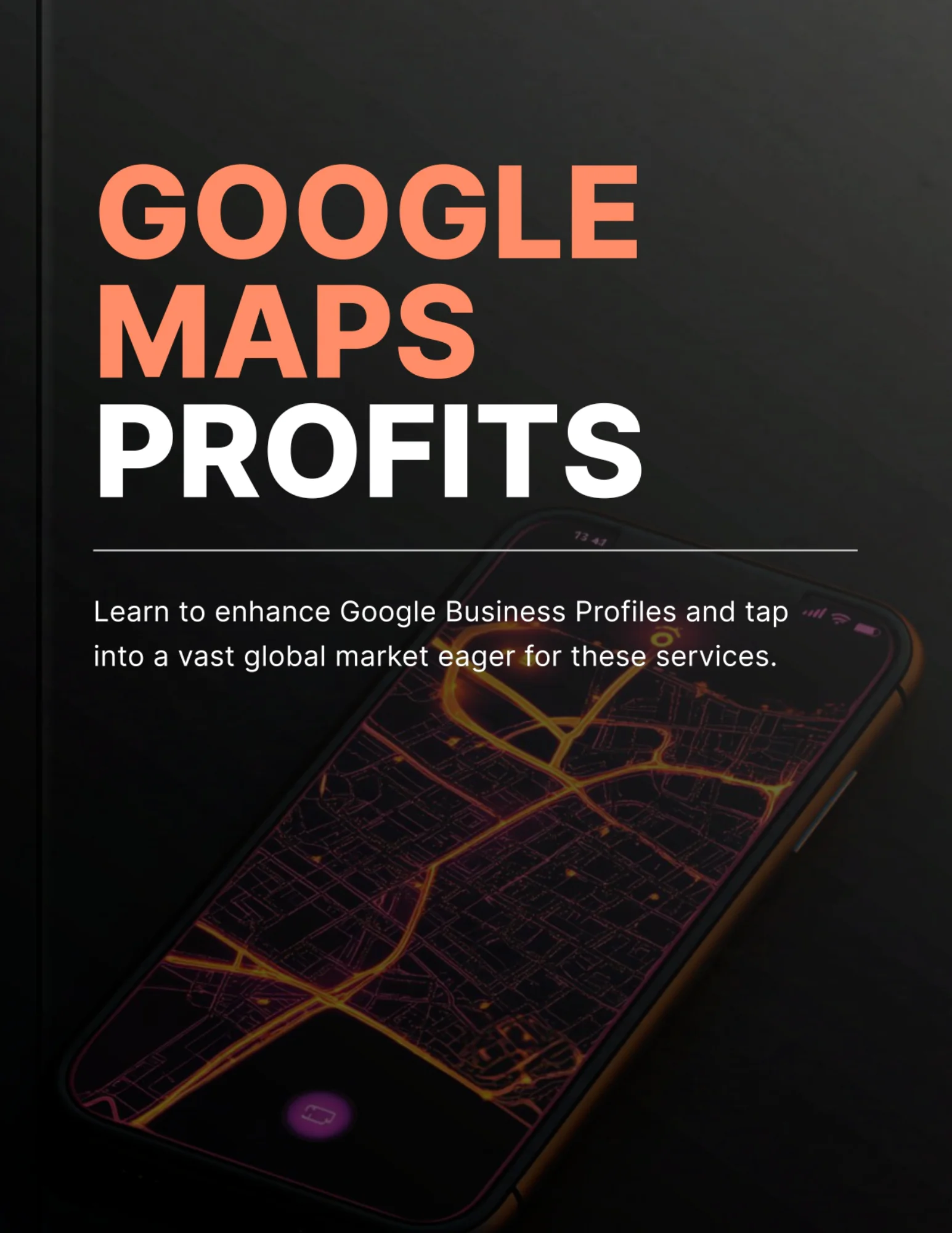 Google Maps Profits