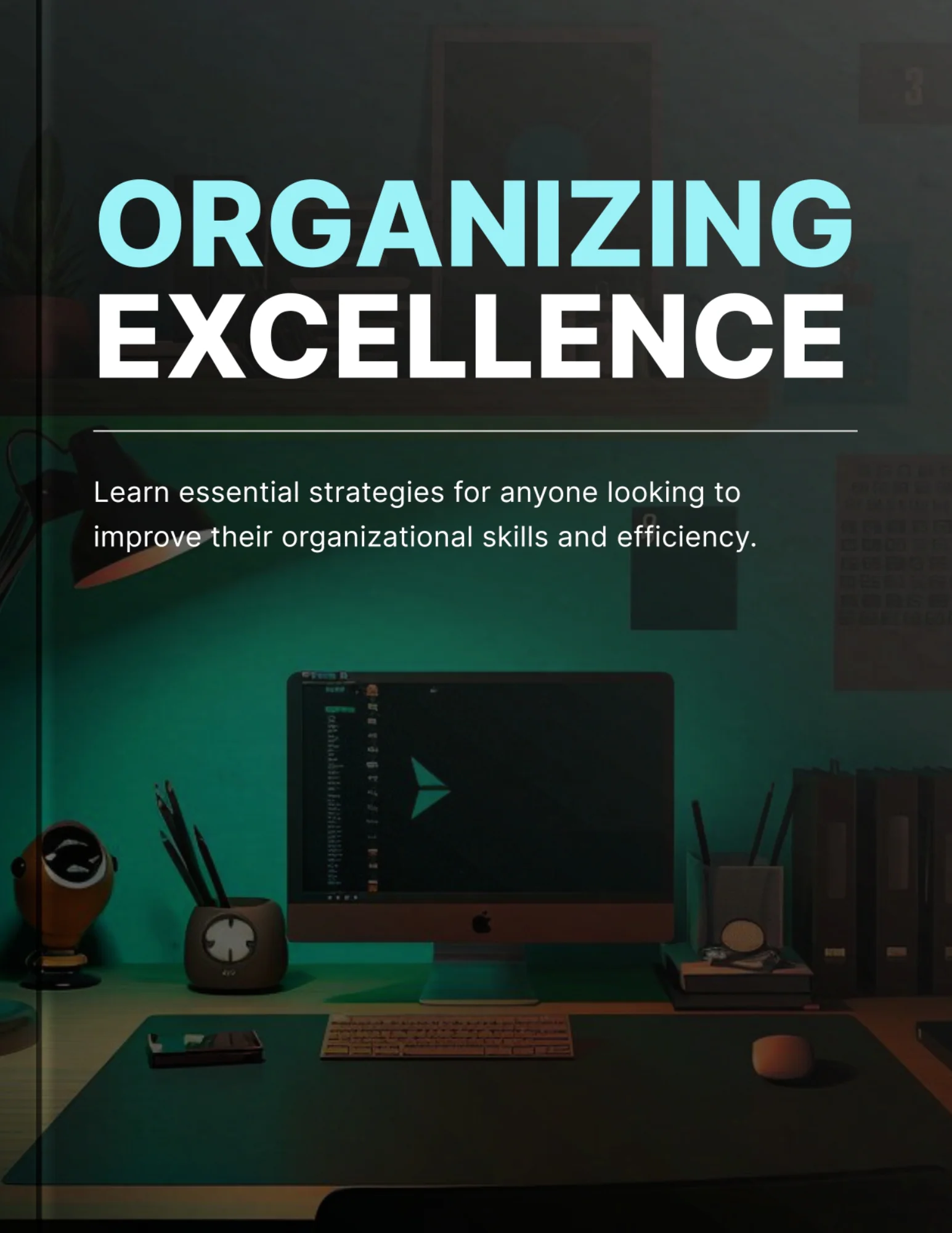 Organizing Excellence